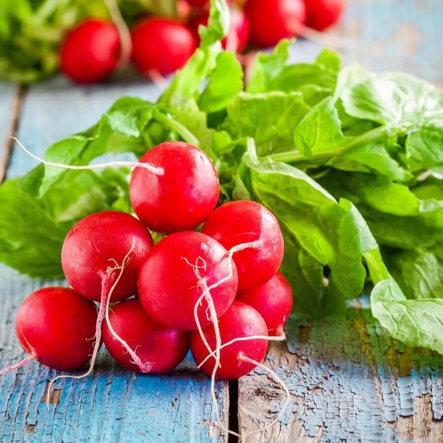 Radish Seeds - Red Mix