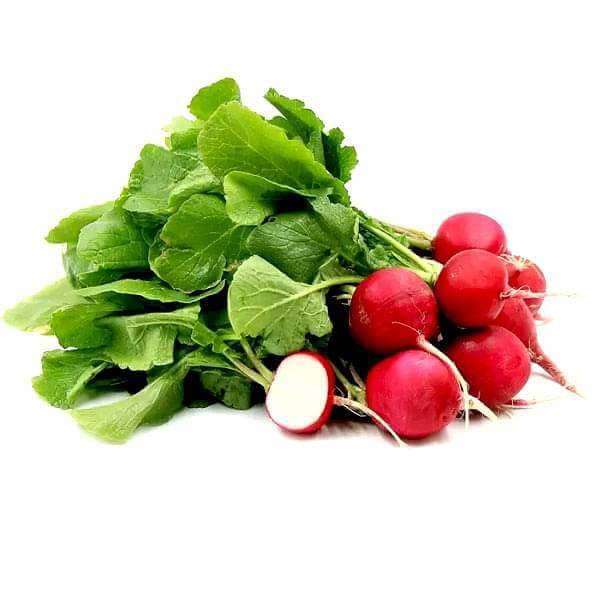 Radish Seeds - Red Mix