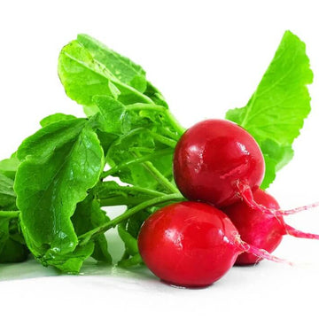 Radish Seeds - Red Mix
