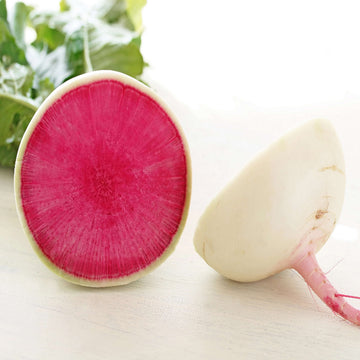 Radish Seeds - Starburst