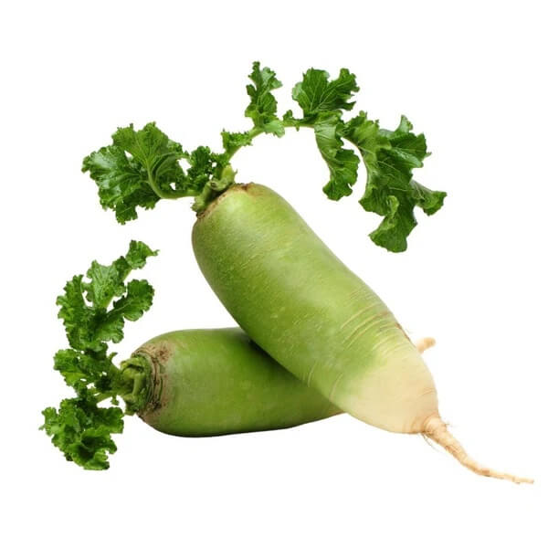 Radish Seeds – Pista Green