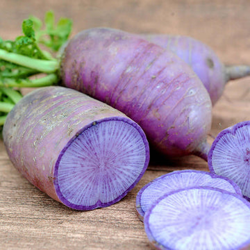 Radish Seeds – Blue
