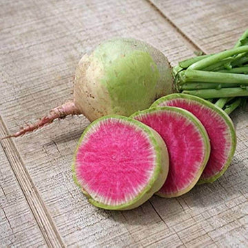 Radish Seeds – Crisp Red Watermelon