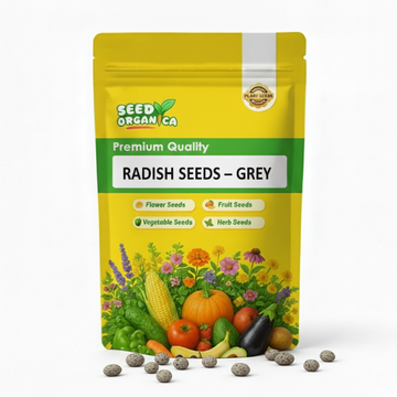 Radish Seeds – Grey