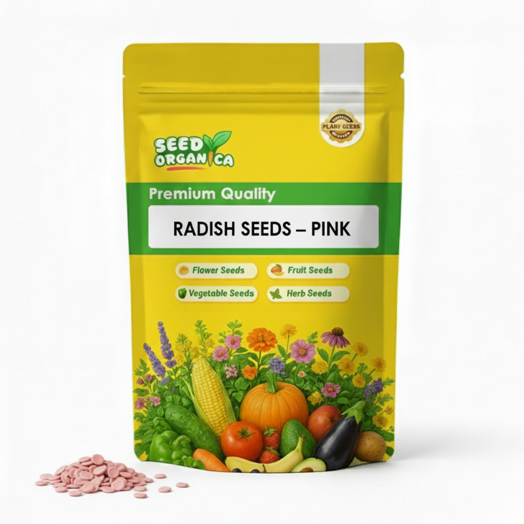 Radish Seeds – Pink