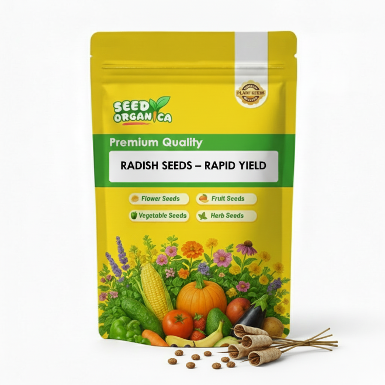 Radish Seeds – Rapid Yield