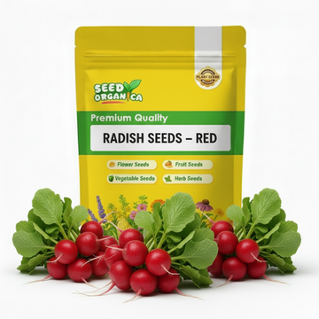 Radish Seeds – Red