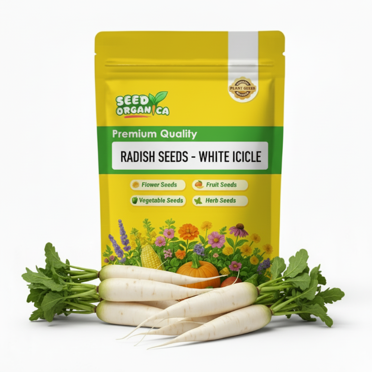 Radish Seeds – White Icicle