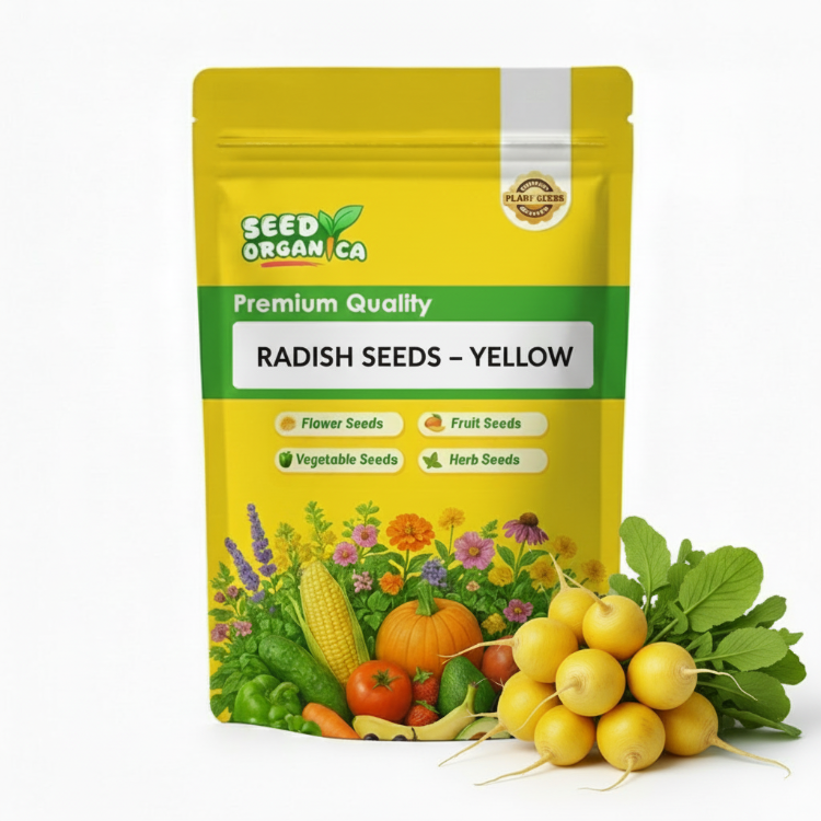 Radish Seeds – Yellow