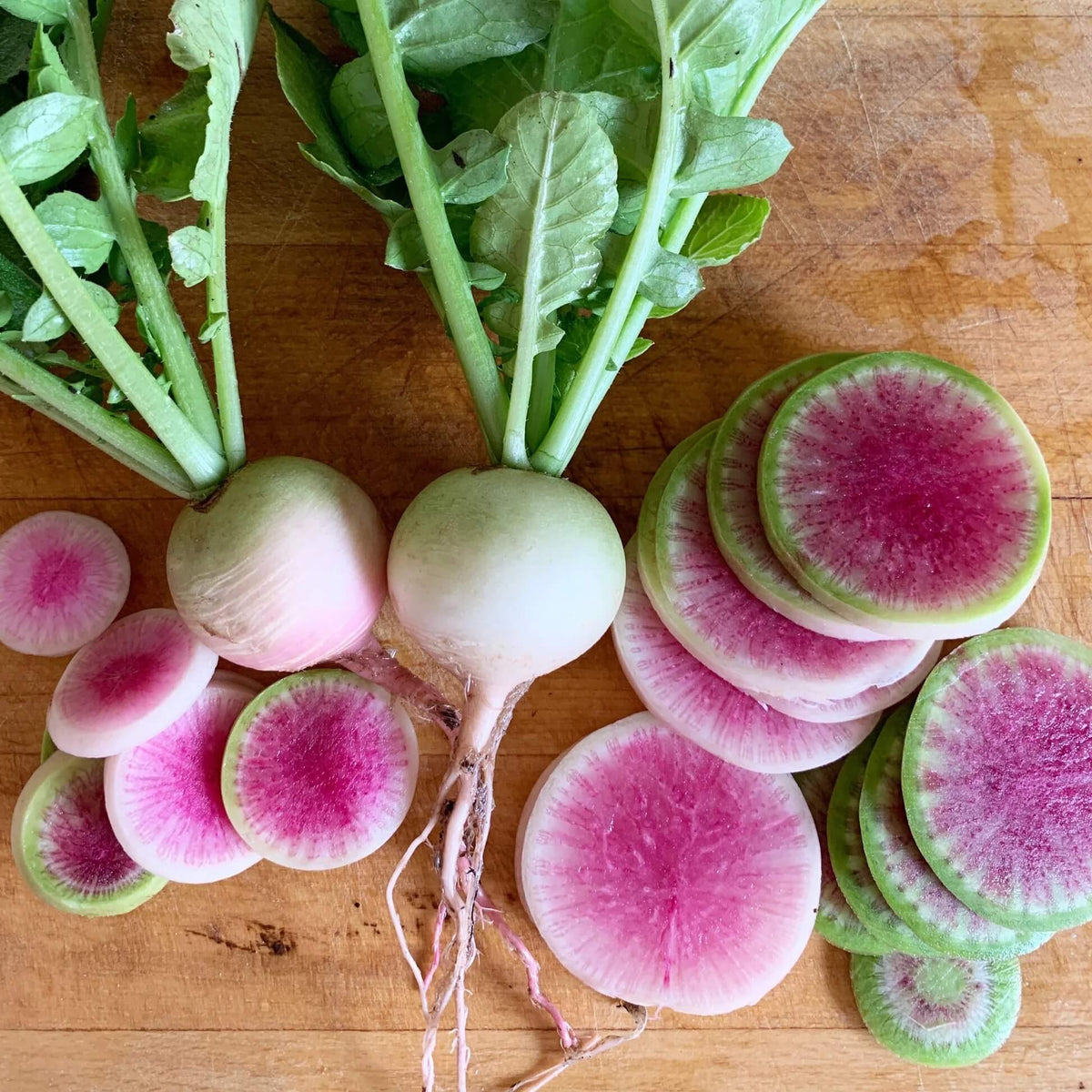 Radish Seeds – Watermelon