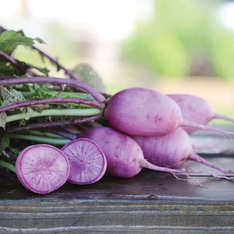 Radish seeds - Bluemoon