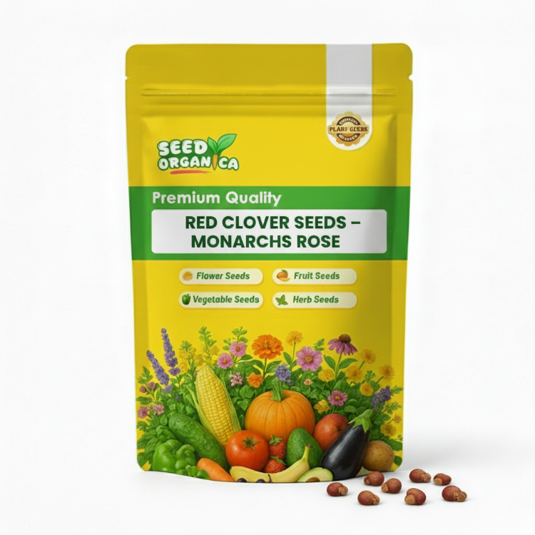 Red Clover Seeds – Monarchs Rose