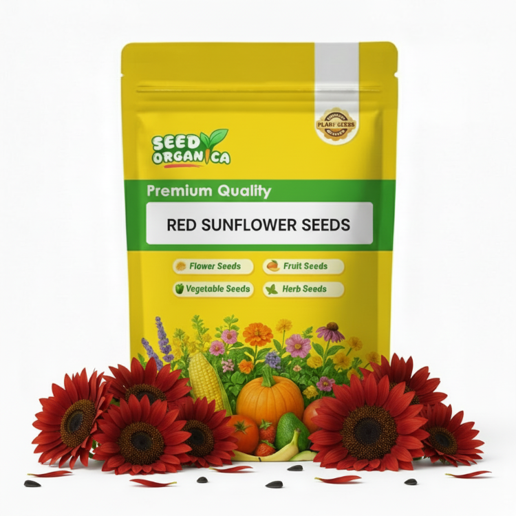 Red Sunflower Seeds