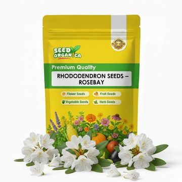 Rhododendron Seeds – Rosebay