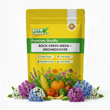 Rock Cress Seeds – Groundcover