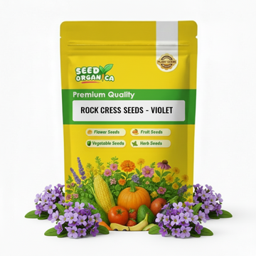 Rock Cress Seeds – Violet