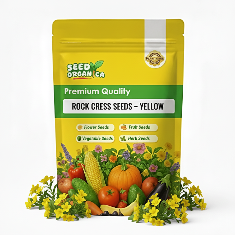 Rock Cress Seeds – Yellow