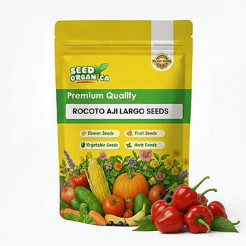 Rocoto Aji Largo Seeds