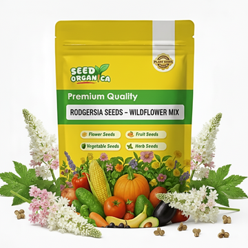 Rodgersia Seeds – Wildflower Mix