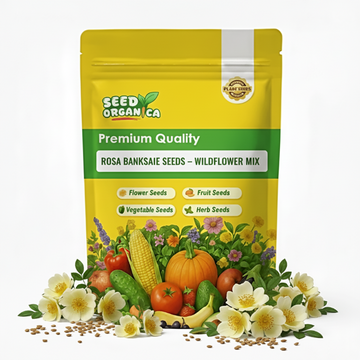 Rosa Banksiae Seeds – Wildflower Mix