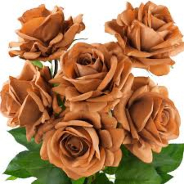 Rosa spp. Seeds – Brown 