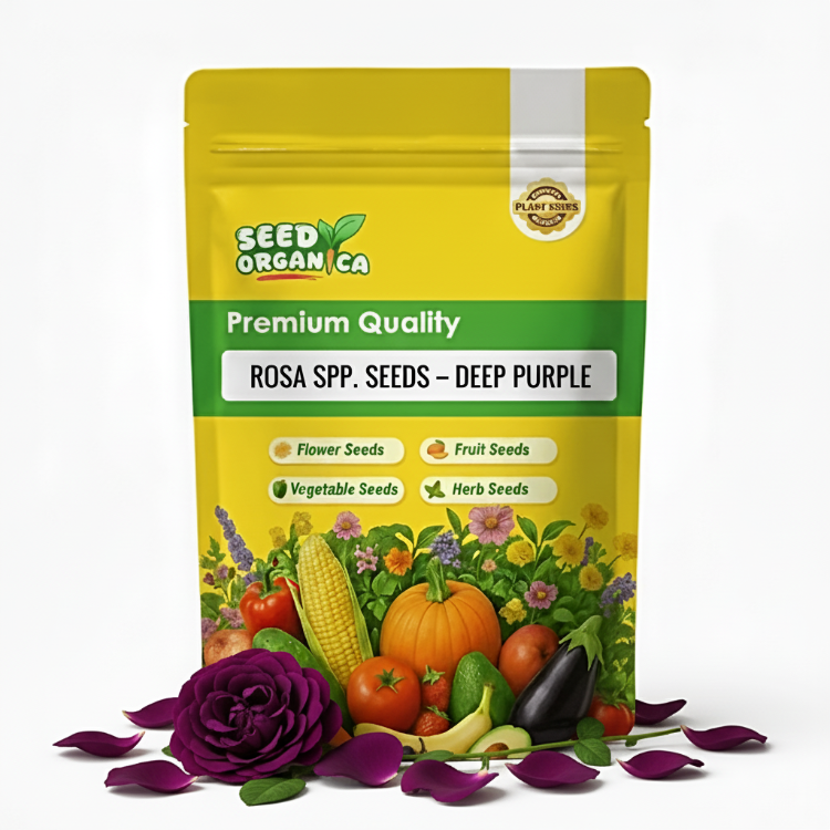 Rosa spp. Seeds – Deep Pink Climbing