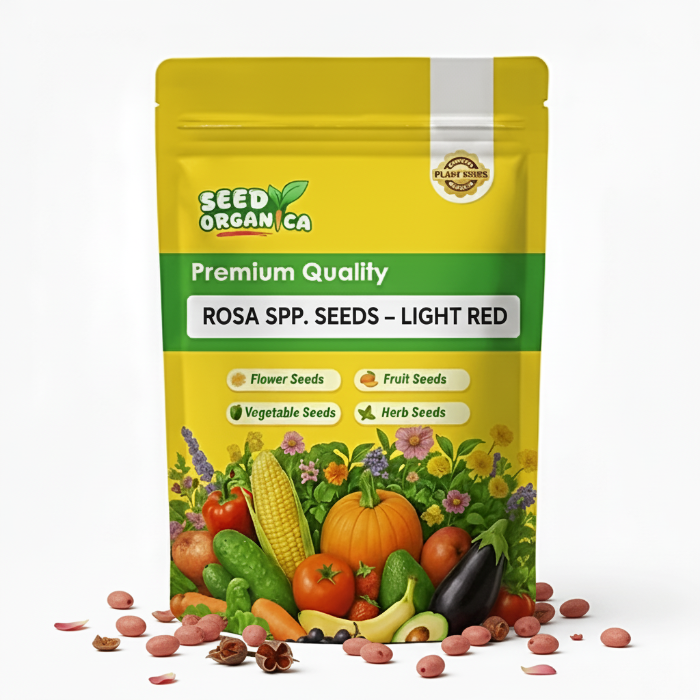 Rosa spp. Seeds – Light Red