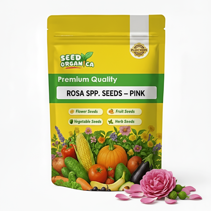 Rosa spp. Seeds – Peach
