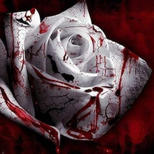Rose Flower Seeds – White Knight