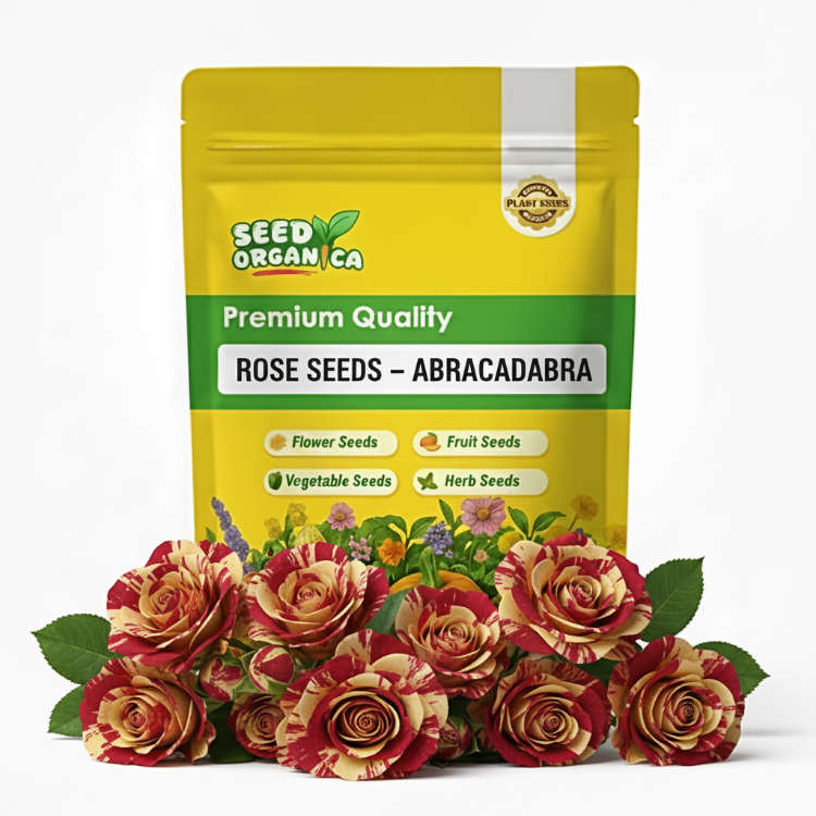 Rose Seeds – Abracadabra