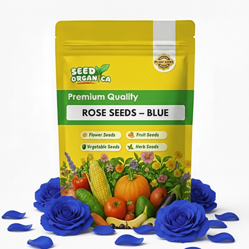 Rose Seeds – Blue