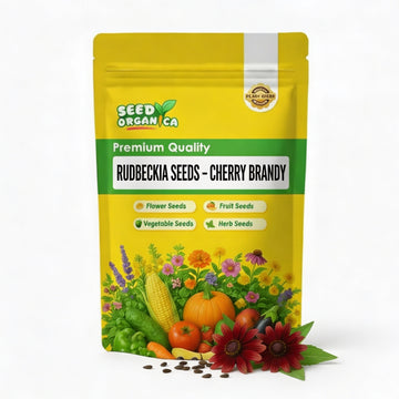 Rudbeckia Seeds – Cherry Brandy