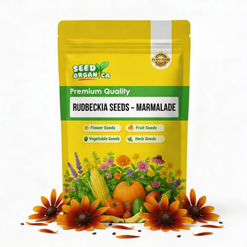 Rudbeckia Seeds – Marmalade