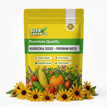 Rudbeckia Seeds – Premium Hirta