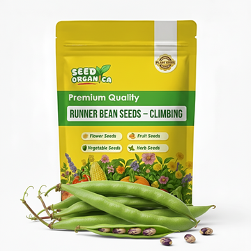 Runner Bean Seeds – Climbing