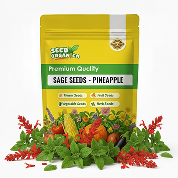 Sage Seeds – Pineapple
