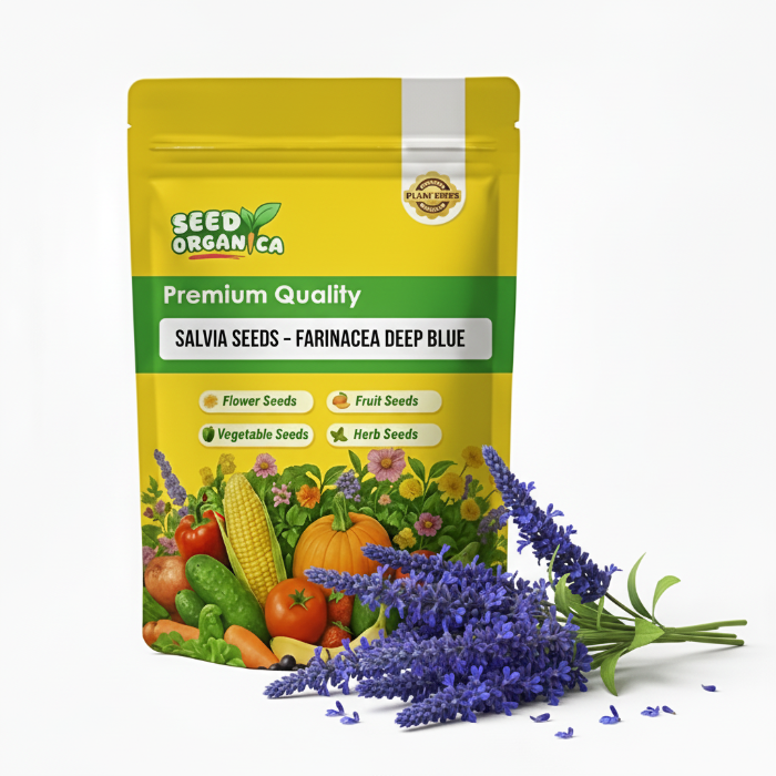 Salvia Seeds – Farinacea Deep Blue