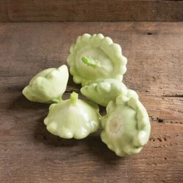 Scallop Squash Seeds - Velvet Bennings