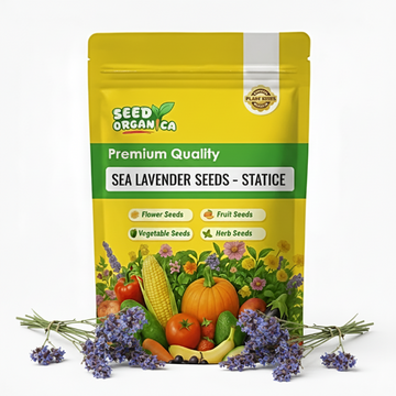 Sea Lavender Seeds – Statice