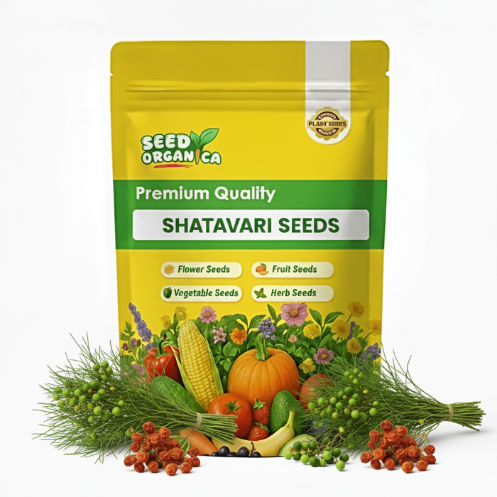 Shatavari Seeds