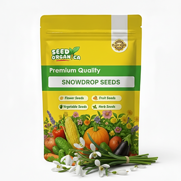 Snowdrop Seeds