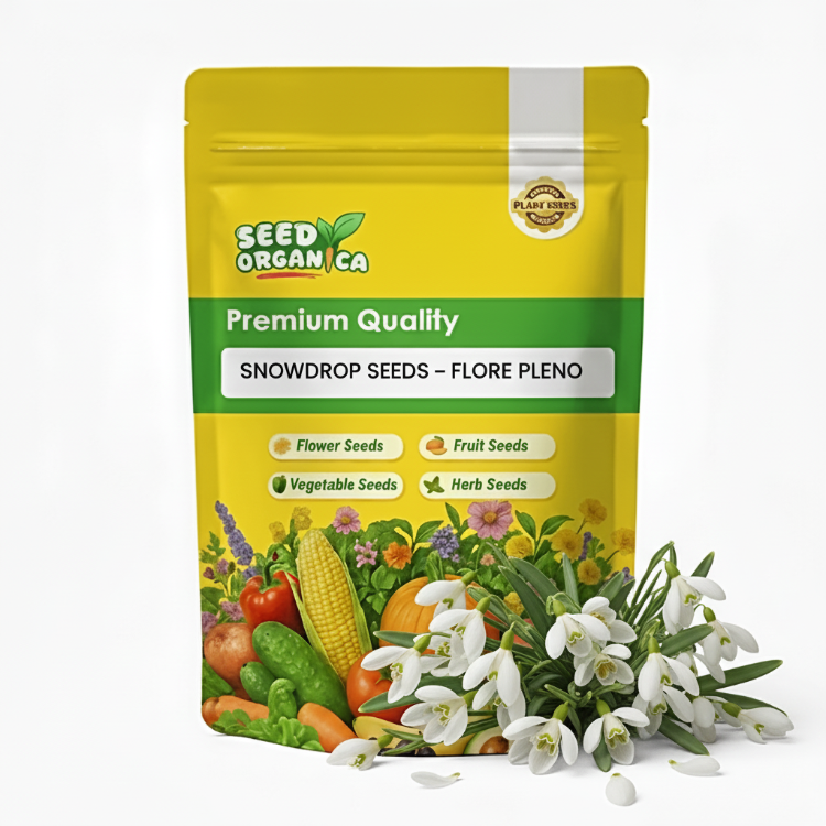 Snowdrop Seeds – Flore Pleno