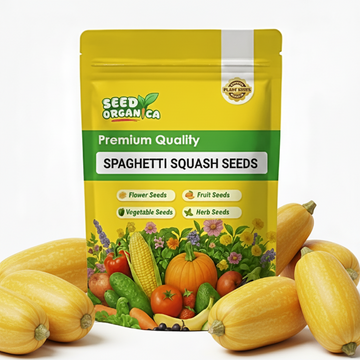Spaghetti Squash Seeds
