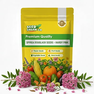 Spiraea Douglasii Seeds – Hardy Pink