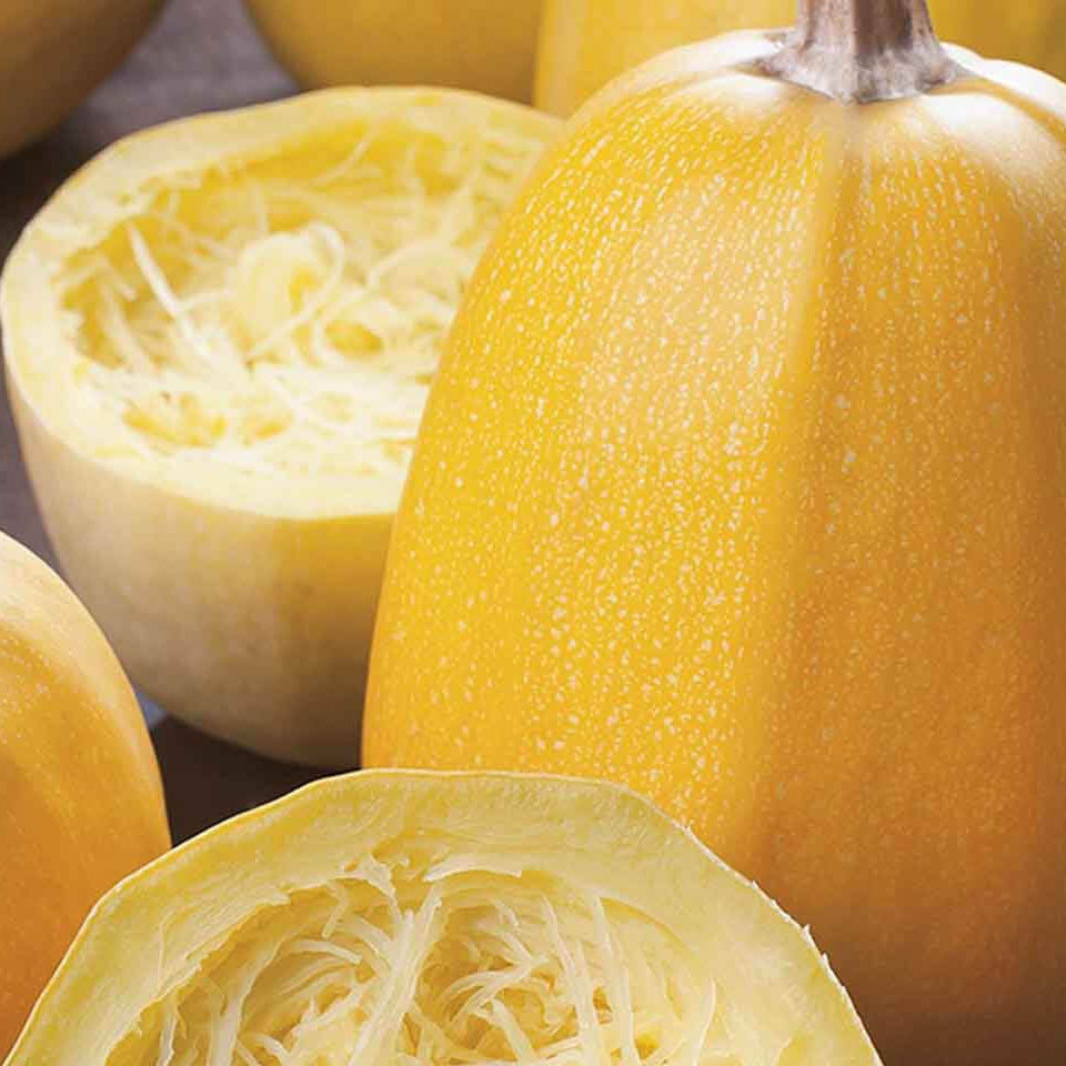 Squash Seeds – Spaghetti