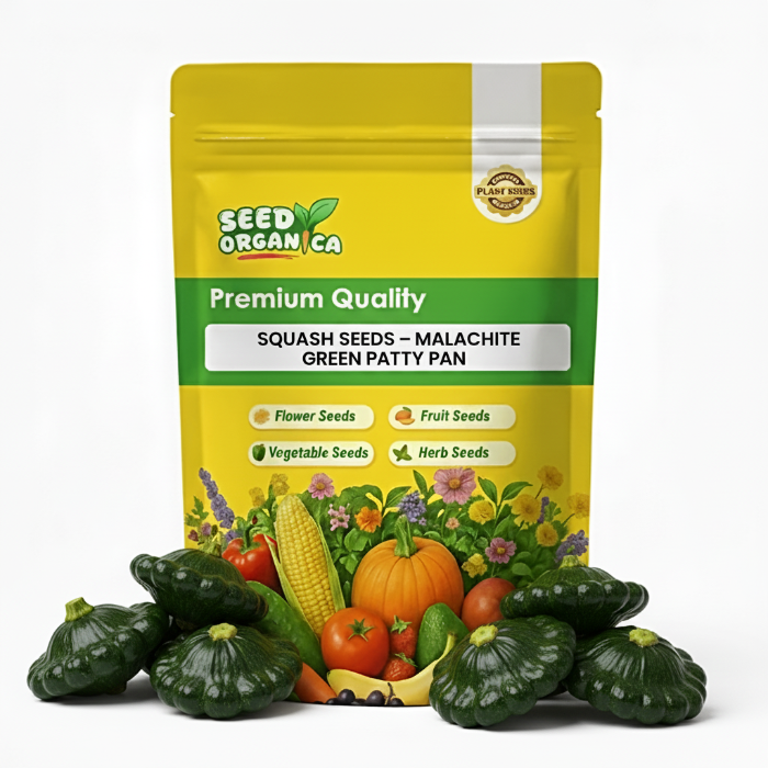 Squash Seeds – Malachite Green Patty Pan