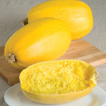 Squash Seeds – Spaghetti