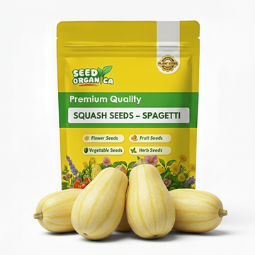 Squash Seeds – Spaghetti