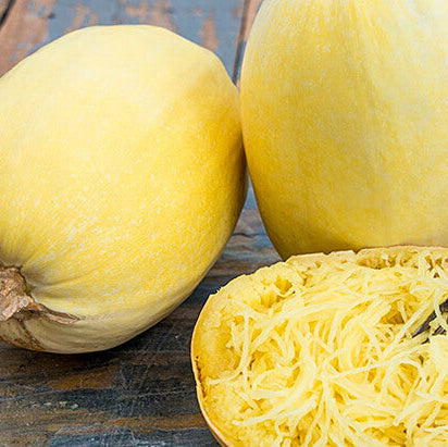 Squash Seeds – Spaghetti