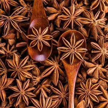 Star Anise Seeds – Flowering Variety